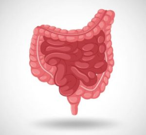 visita specialistica colon retto